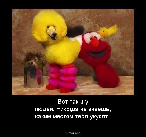 Вот так и у  людей. Никогда не знаешь, каким местом тебя укусят.