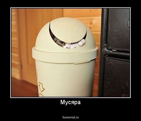 Мусяра