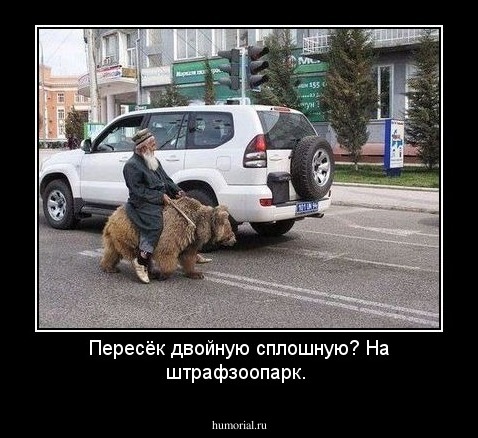 Пересёк двойную сплошную? На штрафзоопарк.