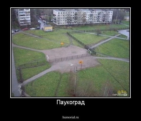 Паукоград