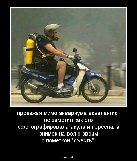 проезжая мимо аквариума аквалангист не заметил как его сфотографировала акула и переслала снимок на волю своим с пометкой "съесть"
