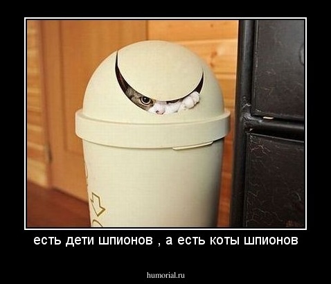 есть дети шпионов , а есть коты шпионов
