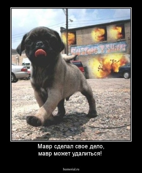 Мавр сделал свое дело, мавр может удалиться!