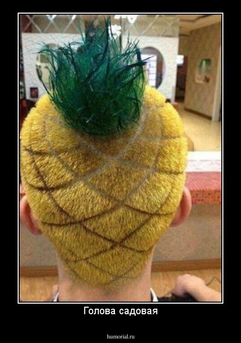 Голова садовая