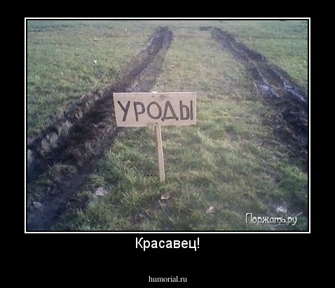 Красавец!