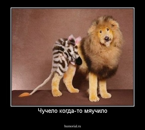 Чучело когда-то мяучило