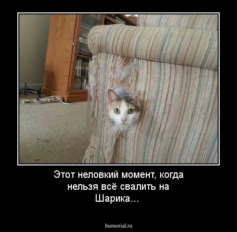 Этот неловкий момент, когда нельзя всё свалить на Шарика...