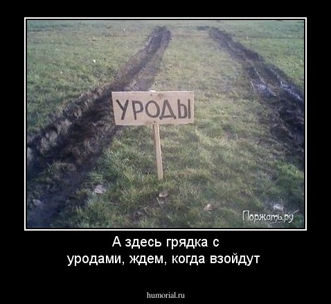 А здесь грядка с уродами, ждем, когда взойдут