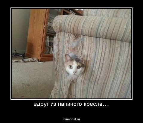 вдруг из папиного кресла....