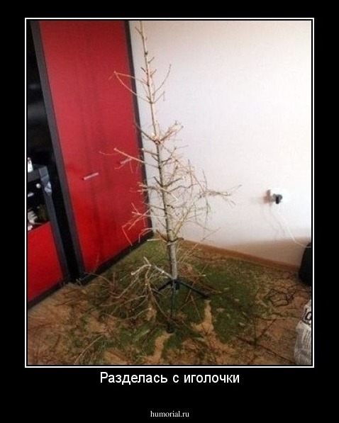 Разделась с иголочки