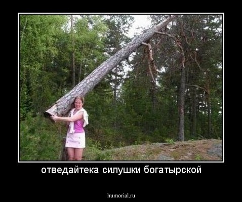 отведайтека силушки богатырской