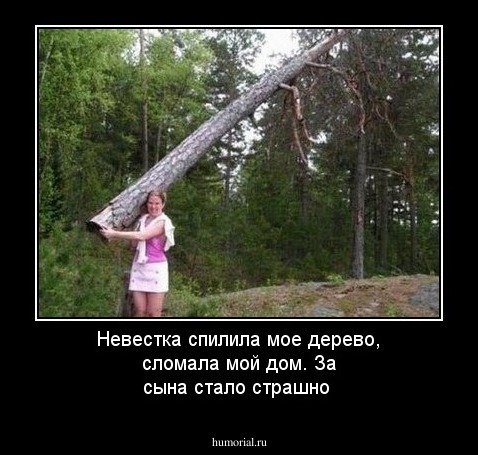 Невестка спилила мое дерево, сломала мой дом. За сына стало страшно 