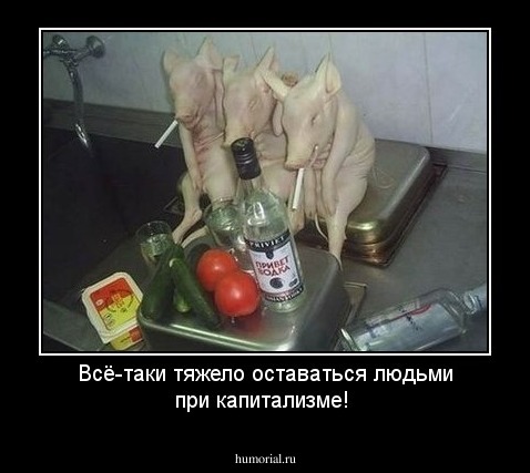 Всё-таки тяжело оставаться людьми при капитализме!