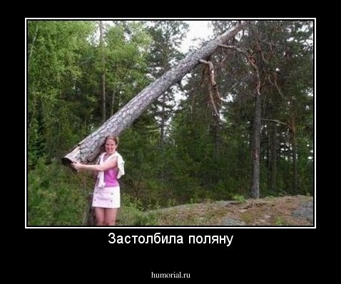 Застолбила поляну
