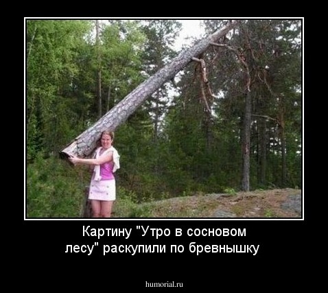 Картину "Утро в  сосновом лесу" раскупили по бревнышку