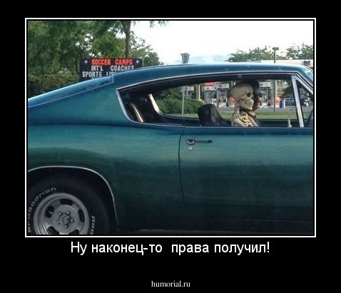 Ну наконец-то  права получил!
