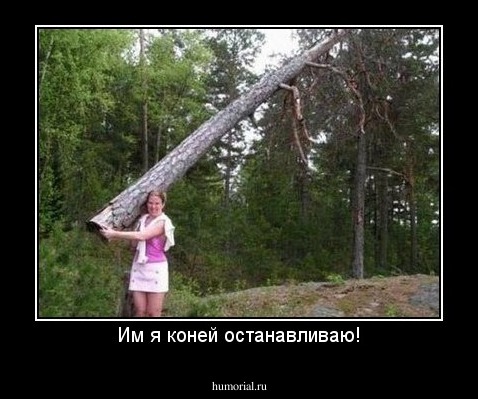 Им я коней останавливаю!