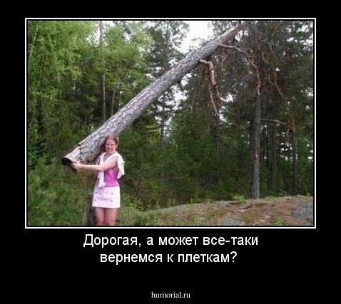 Дорогая, а может все-таки вернемся к плеткам?