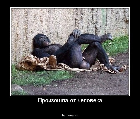 Произошла от человека