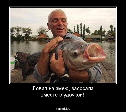 Ловил на змею, засосала вместе с удочкой!