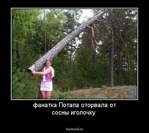 фанатка Потапа оторвала от сосны иголочку
