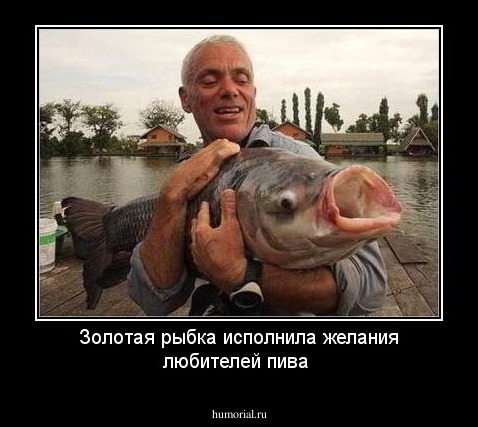 Золотая рыбка исполнила желания любителей пива