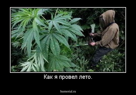 Как я провел лето.