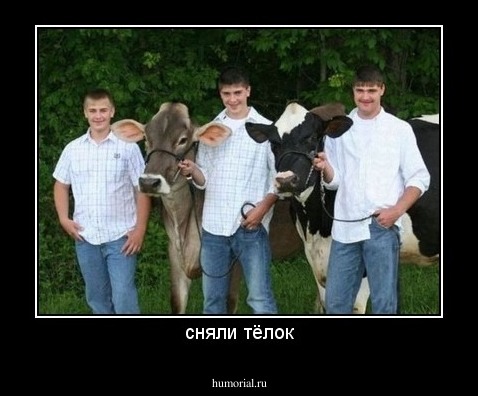 сняли тёлок