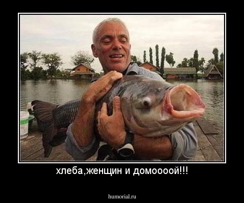 хлеба,женщин и домоооой!!!