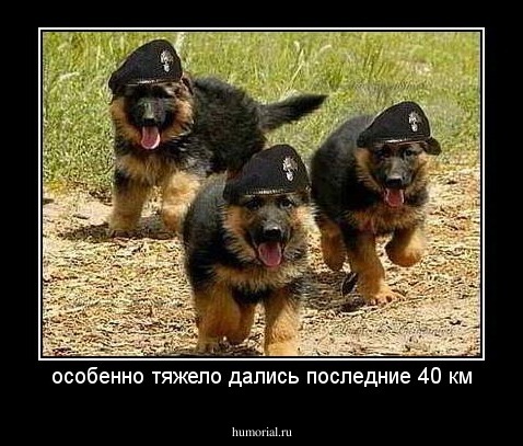 особенно тяжело дались последние 40 км