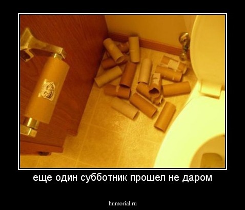 еще один субботник прошел не даром