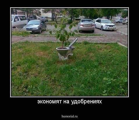 экономят на удобрениях