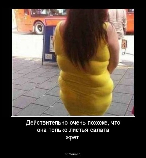 Действительно очень похоже, что она только листья салата жрет