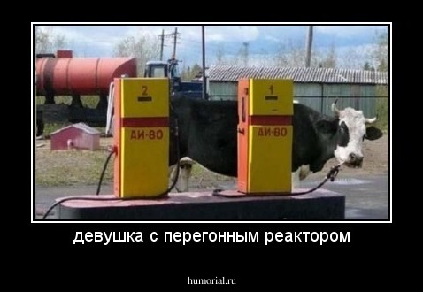 девушка с перегонным реактором