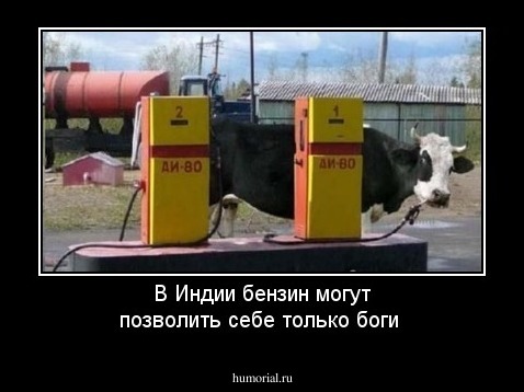 В Индии бензин могут позволить себе только боги