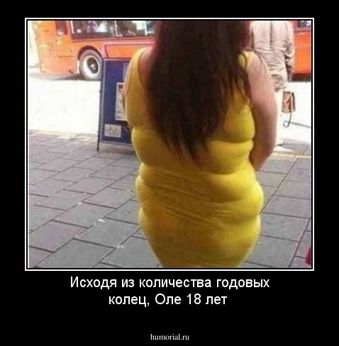 Исходя из количества годовых колец, Оле 18 лет