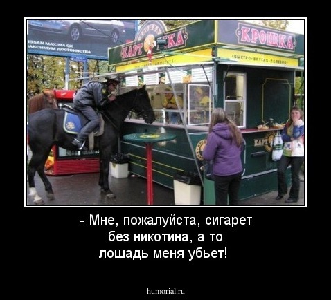 - Мне, пожалуйста, сигарет без никотина, а то лошадь меня убьет!