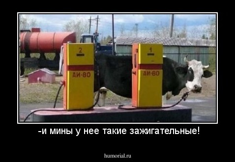  -и мины у нее такие зажигательные!