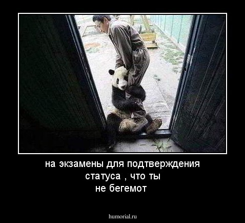 на экзамены  для подтверждения статуса , что ты не бегемот
