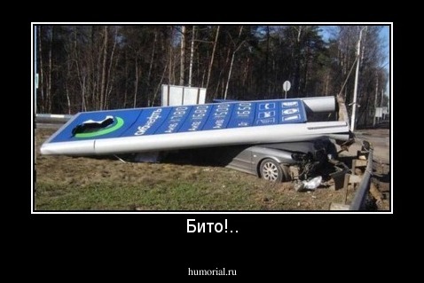 Бито!..