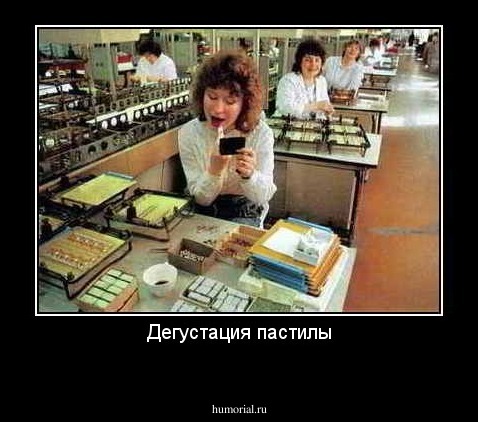 Дегустация пастилы
