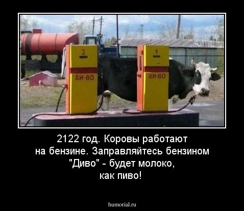 2122 год. Коровы работают на бензине. Заправляйтесь бензином "Диво" - будет молоко, как пиво!