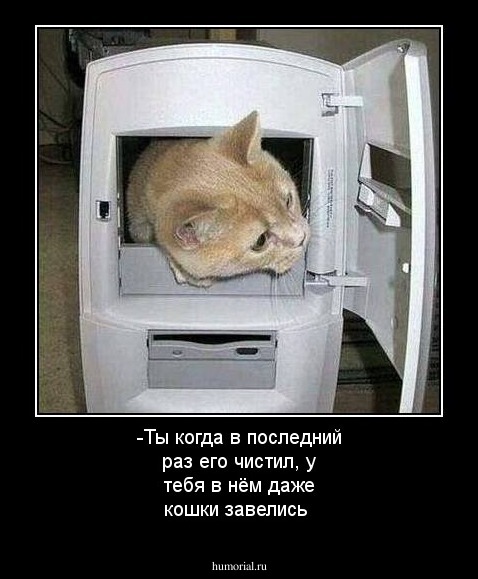 -Ты когда в последний раз его чистил, у тебя в нём даже кошки завелись