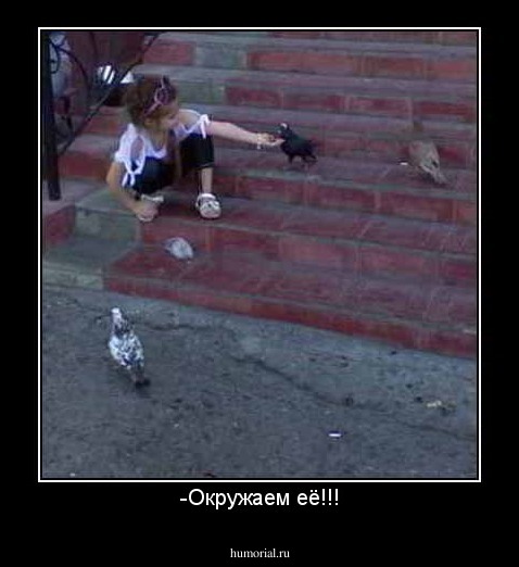 -Окружаем её!!!