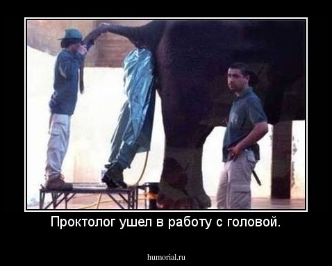 Проктолог ушел в работу с головой.