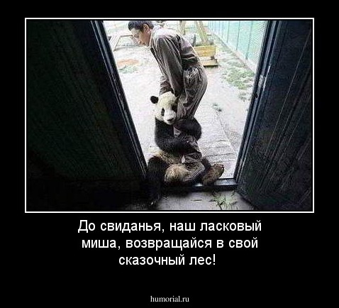 До свиданья, наш ласковый миша, возвращайся в свой сказочный лес!