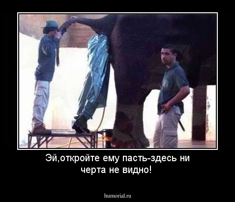 Эй,откройте ему пасть-здесь ни черта не видно!