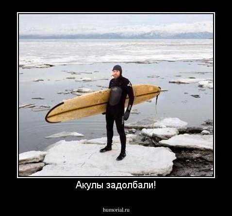 Акулы задолбали!