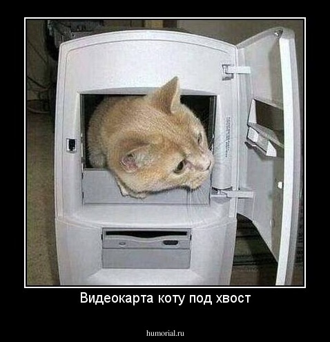 Видеокарта коту под хвост