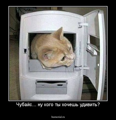 Чубайс... ну кого ты хочешь удивить?